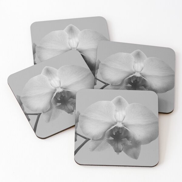 Item preview, Contemporary Black and White Orchid Flower Floral Art A608 designed and sold by byNicol.