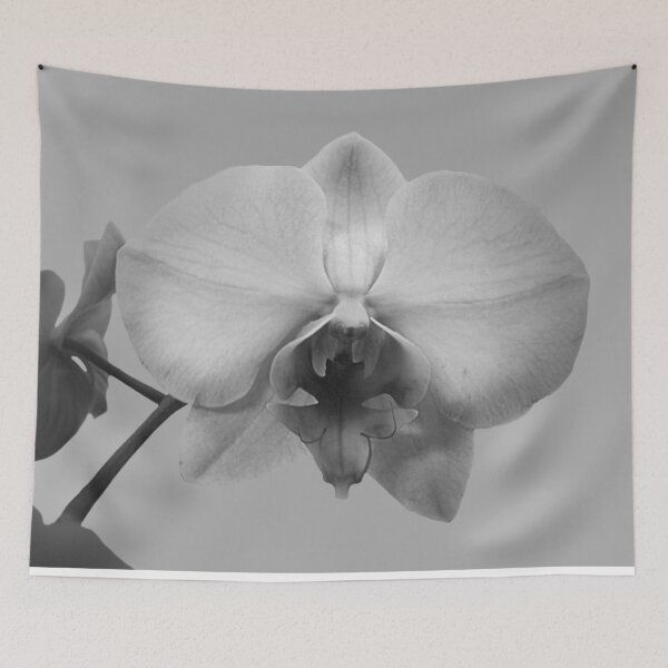 Item preview, Contemporary Black and White Orchid Flower Floral Art A608 designed and sold by byNicol.