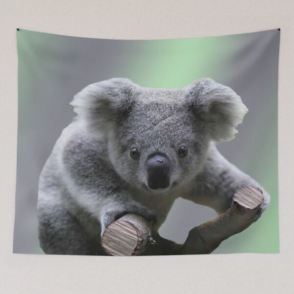 Item preview, Koala Bear designed and sold by Erika Kaisersot.