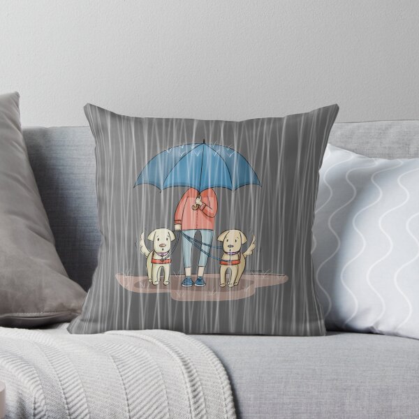 Llueve Cojín