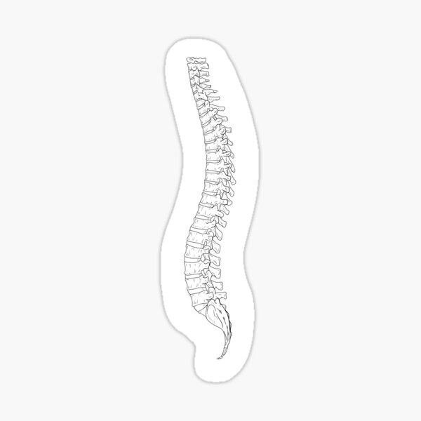 Spine Sticker
