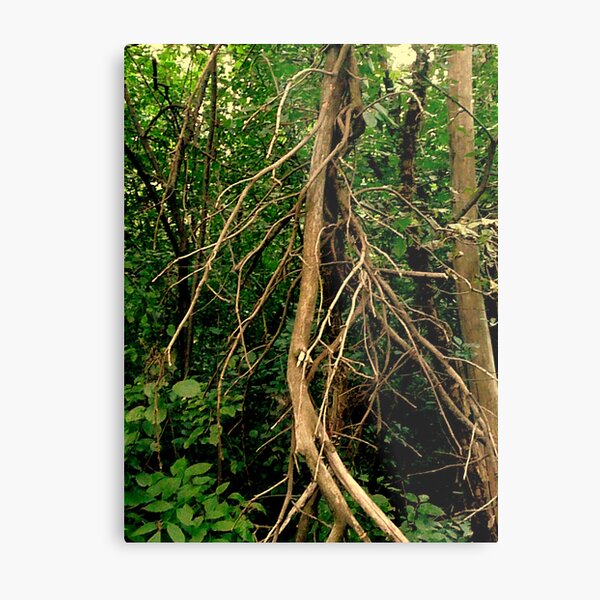 The Tree Spirit Metal Print