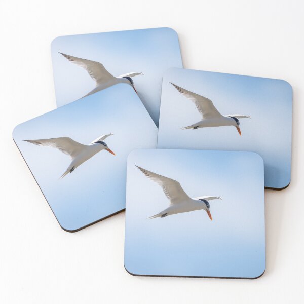 Item preview, Royal Tern In Flight designed and sold by Debra Martz.