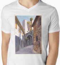 Assisi Ruin Men's V-Neck T-Shirt