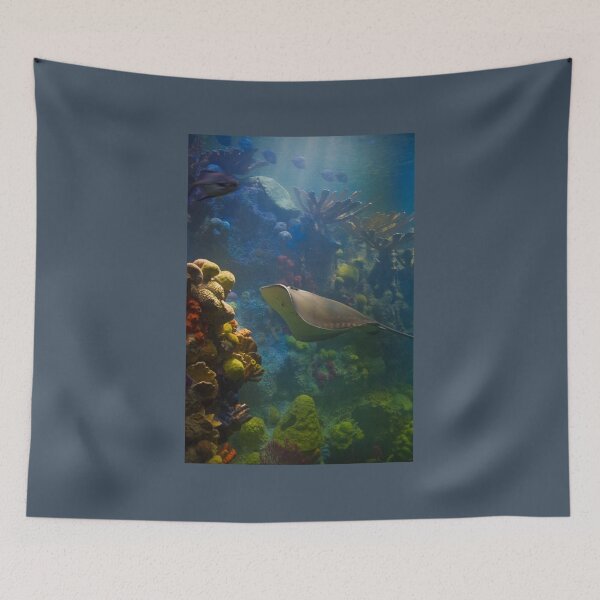 Item preview, USA. Massachusetts. Boston. Aquarium. designed and sold by vadim19.