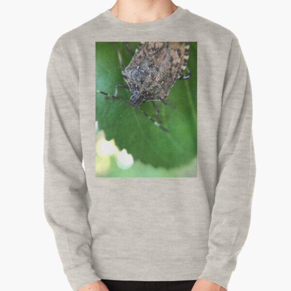 Brown Marmorated Stink Bug Pullover Sweatshirt
