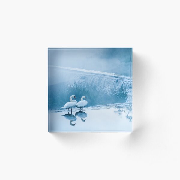 Early morning at Warleigh Weir Acrylic Block