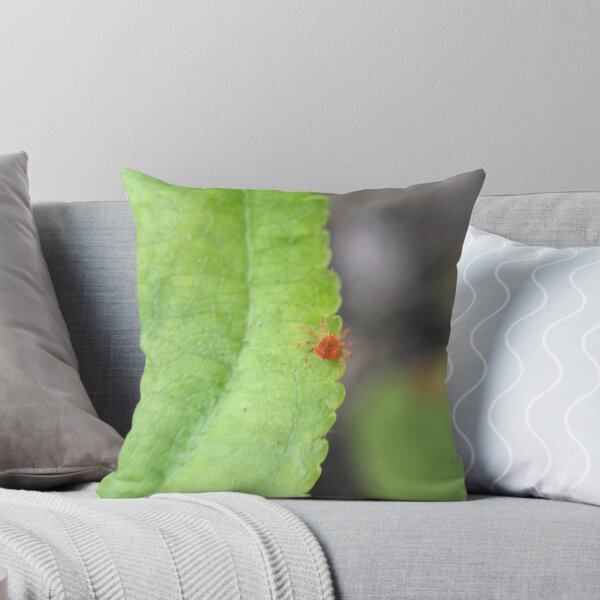 Item preview, Red Spider Mite on Leaf designed and sold by Liam  Philipson.
