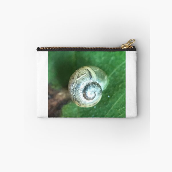 Item preview, Baby Snail Shell designed and sold by Liam  Philipson.