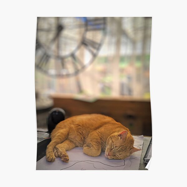 Nap Time Poster