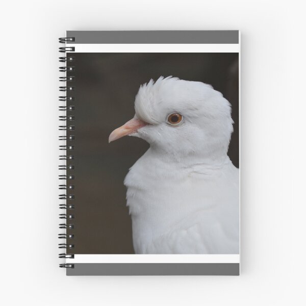 Item preview, Sweet Dove Face designed and sold by LizardSpirit.