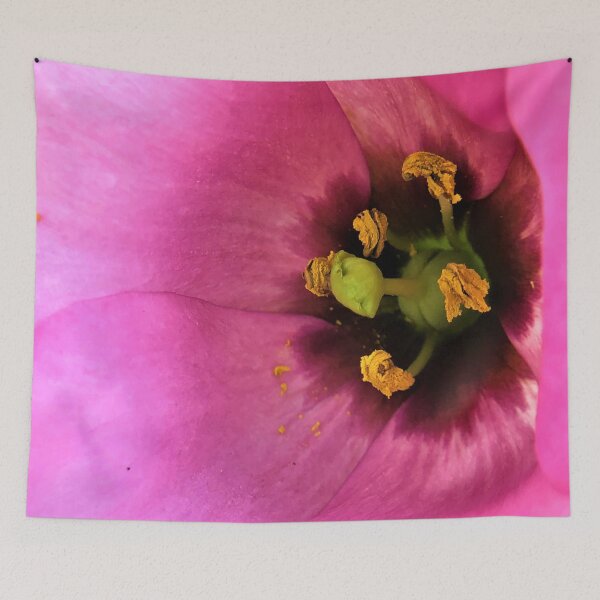 Item preview, secrets of pink prairie gentian  designed and sold by JanineEK.