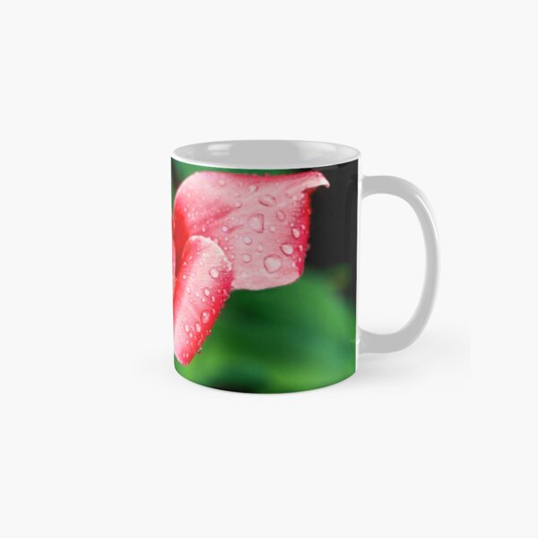 After the Storm Classic Mug