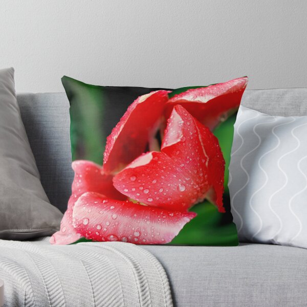 After the Storm Throw Pillow