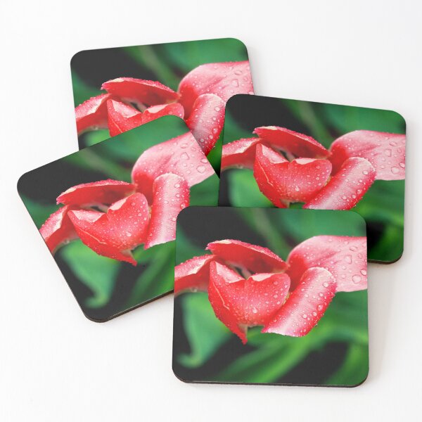 After the Storm Coasters (Set of 4)