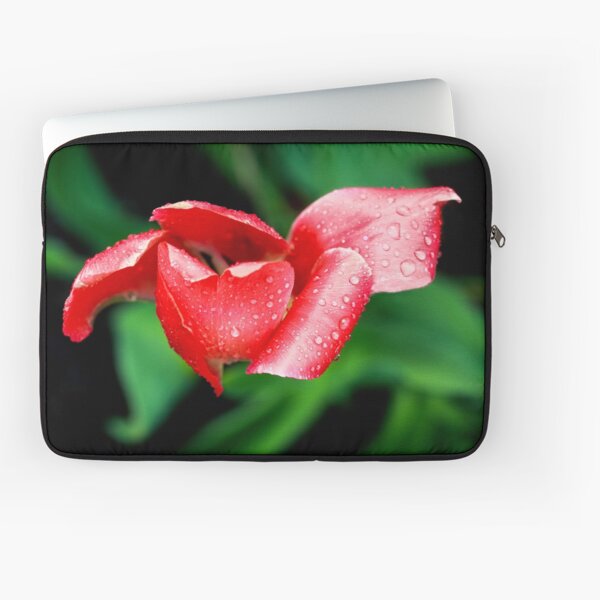 After the Storm Laptop Sleeve