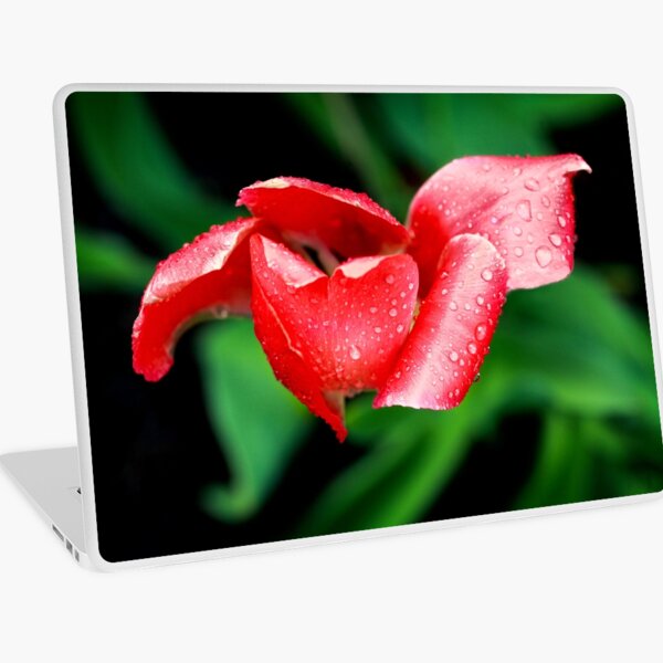 After the Storm Laptop Skin