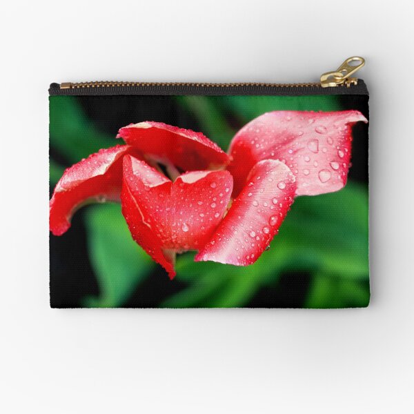 After the Storm Zipper Pouch