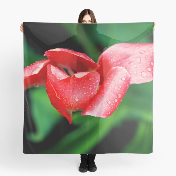 After the Storm Scarf