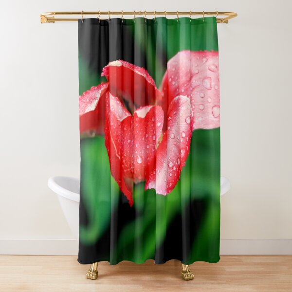 After the Storm Shower Curtain