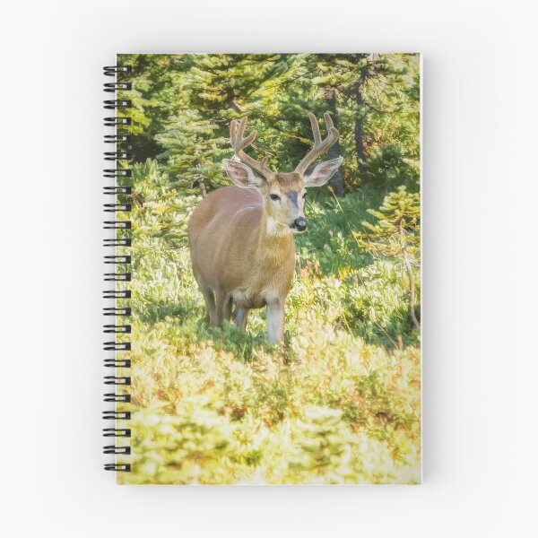 Item preview, Stag at Mt Rainier designed and sold by Belinda Greb Photography.