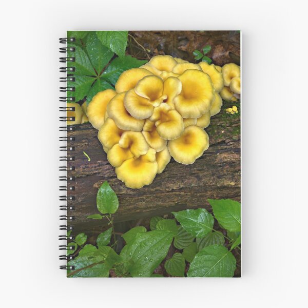 Item preview, Woodland Oysters 4 designed and sold by LynyrdSky.