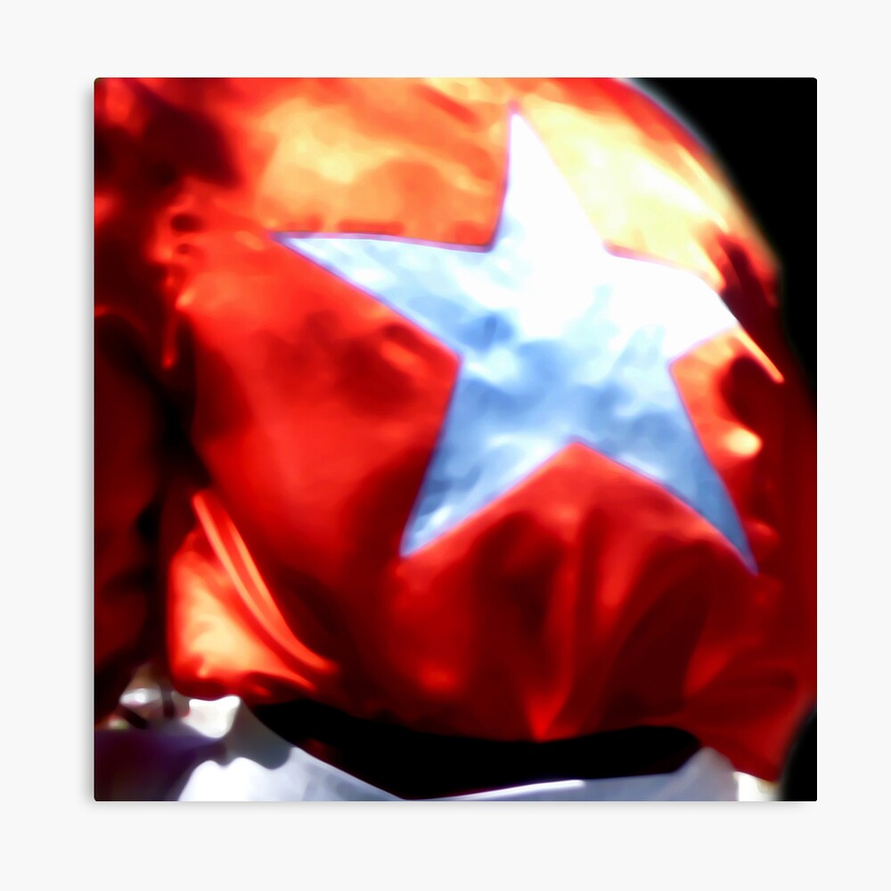 Casak 9 Canvas Print