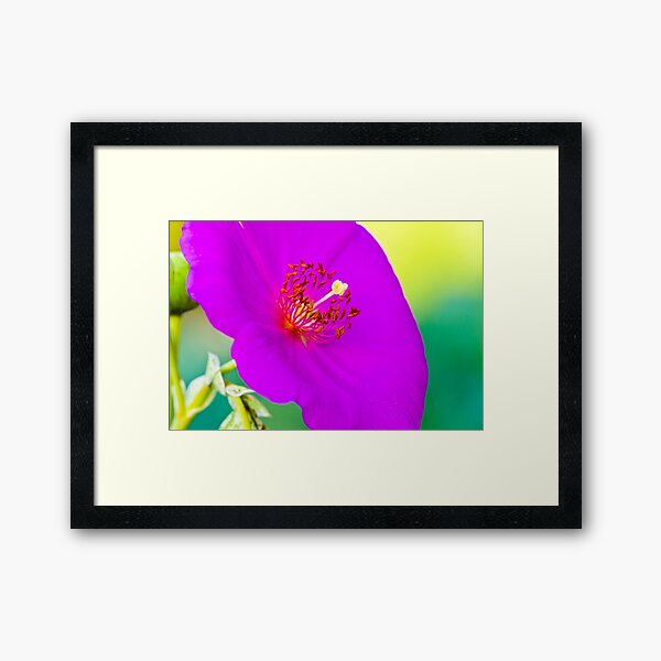 Item preview, Purple Tropical Flower designed and sold by bengraham.