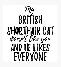 Lámina fotográfica My British Shorthair Cat Doesn't Like You and He Likes Everyone