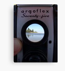 argoflex Seventy-five Canvas Print