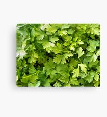 Parslay Canvas Print