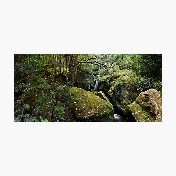 Katoomba, New South Wales. Photographic Print