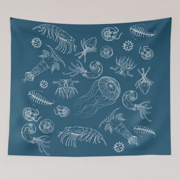 Item preview, Zooplankton designed and sold by Bethany Gustafson.