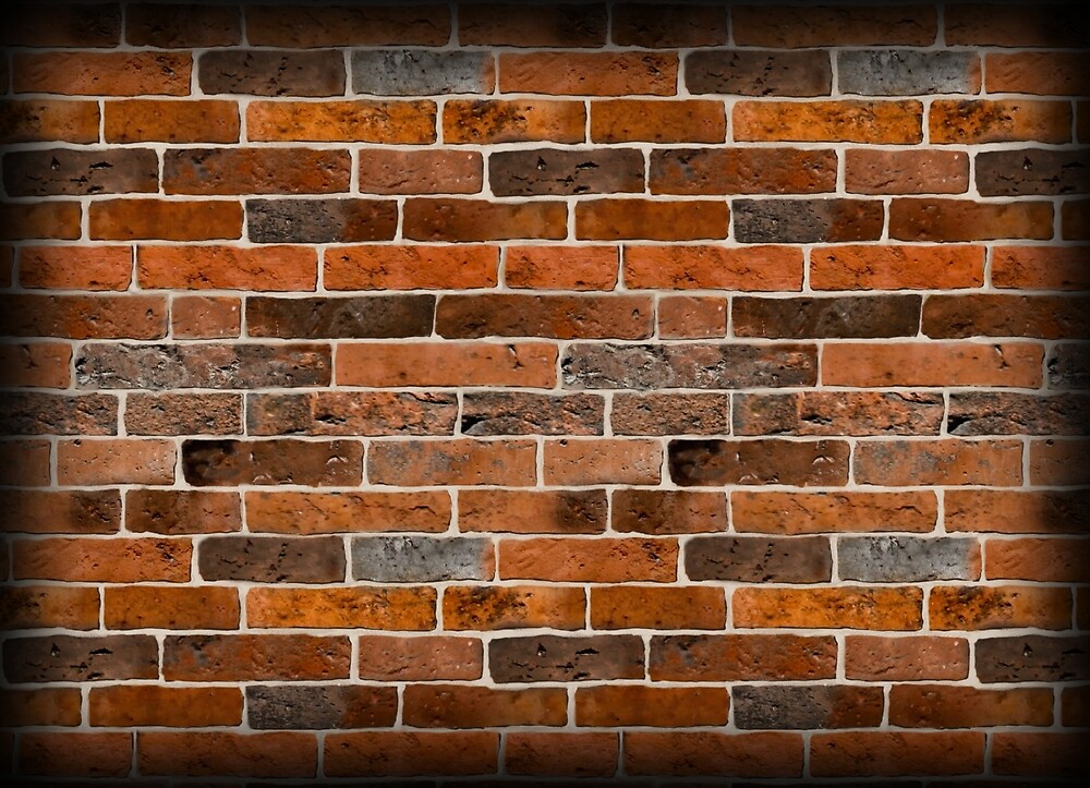 Brick Wall by DolphinPod