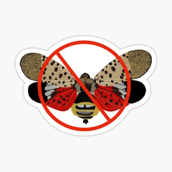 Spotted Lanternfly Sticker
