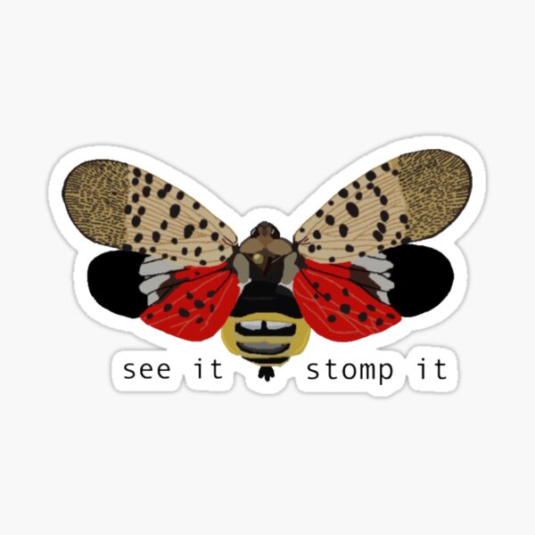 Item preview, Spotted Lanternfly See It Stomp It designed and sold by radiantdark.