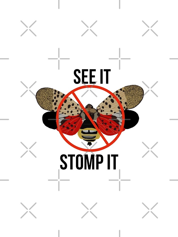 Spotted Lanternfly See It Stomp It by radiantdark