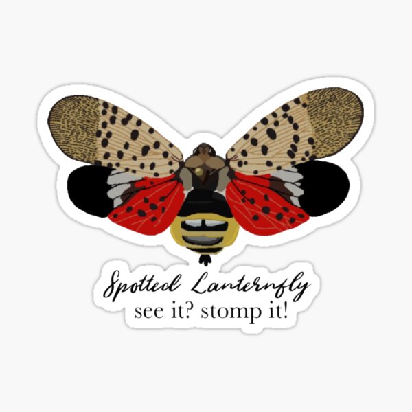 Item preview, Spotted Lanternfly See It Stomp It designed and sold by radiantdark.