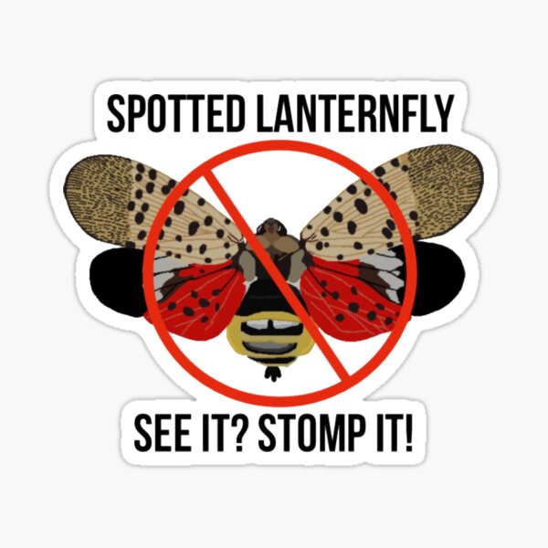 Item preview, Spotted Lantern Fly See It Stomp It designed and sold by radiantdark.
