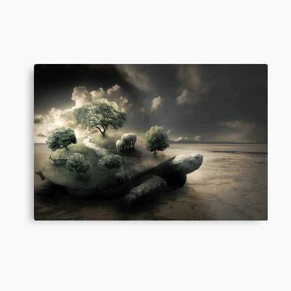 Life on the back of a shell Metal Print