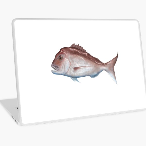 Snapper Laptop Skin