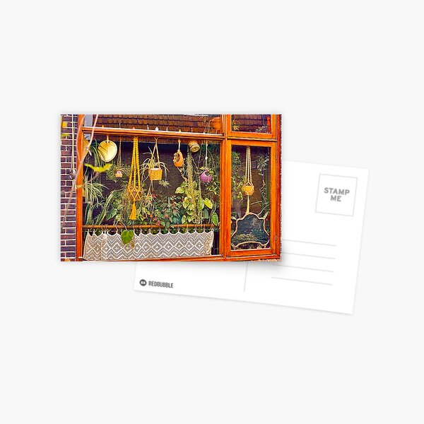 Window Treatment in Sneek Postcard