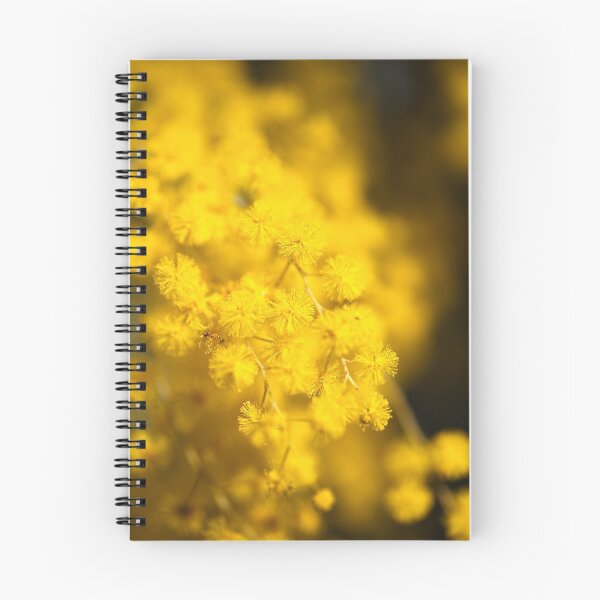 Item preview, Sunshine Wattle designed and sold by Joy Watson - Natural Light Photography .