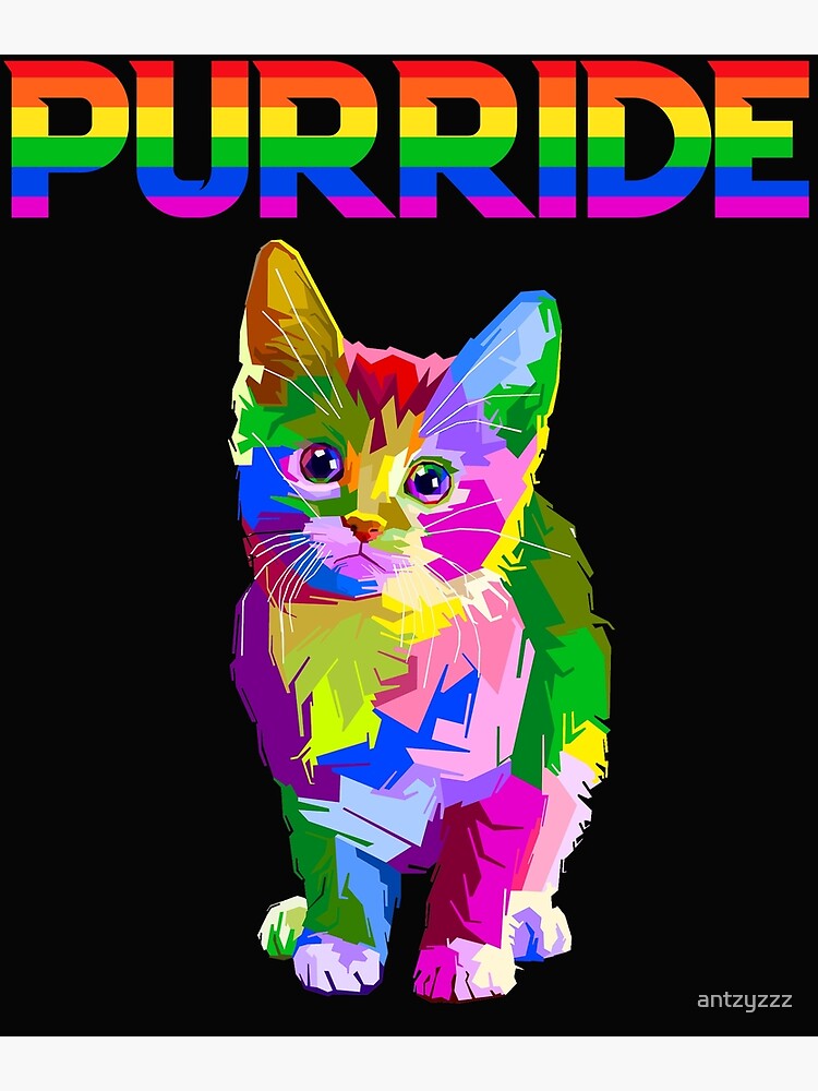 Gay Pride Cat Kitten Shirts For Women Men Purride Lgbt My Xxx Hot Girl 