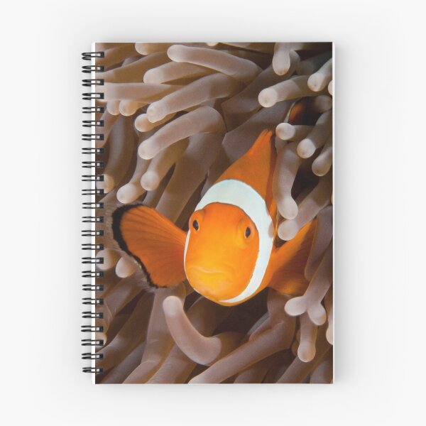 Item preview,  Bali designed and sold by Jamie Kiddle.