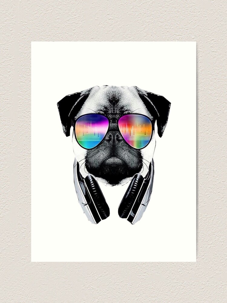 Pug dog with glasses and headphones listens to music Puggy dog