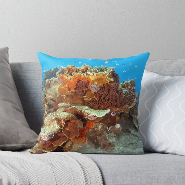 Artikelvorschau, Plate Coral entworfen und verkauft von Jamie Kiddle.