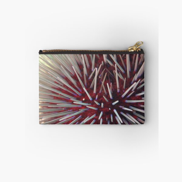 Item preview, Urchin Close-Up designed and sold by Jamie Kiddle.