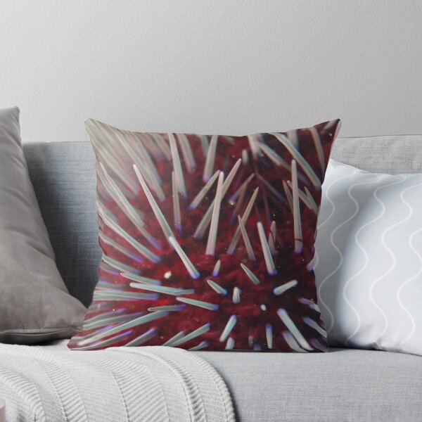 Artikelvorschau, Urchin Close-Up entworfen und verkauft von Jamie Kiddle.