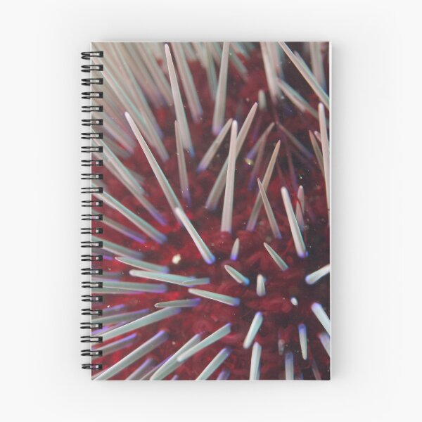 Item preview, Urchin Close-Up designed and sold by Jamie Kiddle.